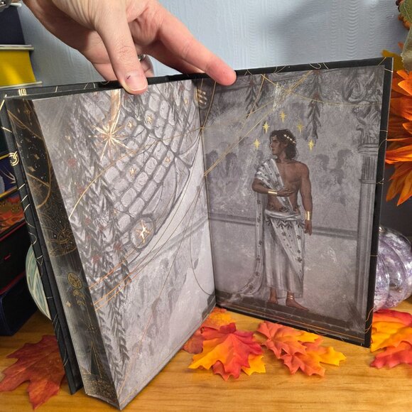 Fallen City by Adrienne Young Fairyloot November 2025 Fated to Fall - Picture 7 of 10